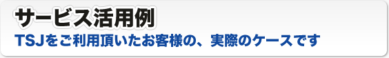 サービス活用例 TSJをご利用頂いたお客様の、実際のケースです サービス活用例 TSJをご利用頂いたお客様の、実際のケースです